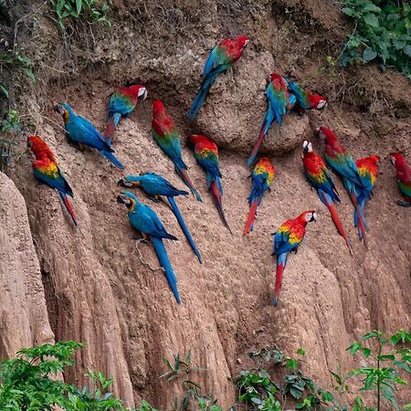 Refugio Amazonas Lodge Tambopata エクステリア 写真