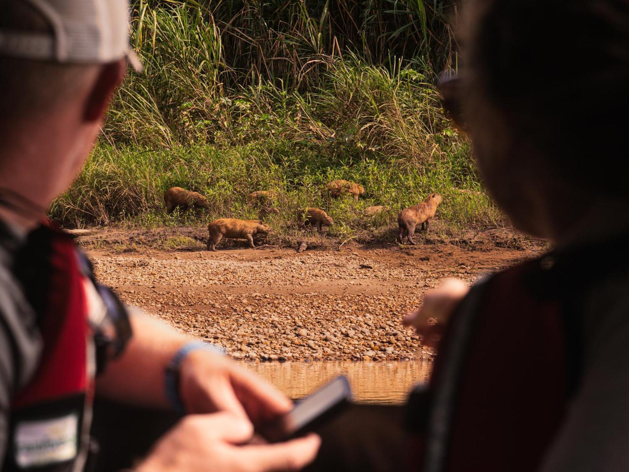 Refugio Amazonas Lodge Tambopata エクステリア 写真