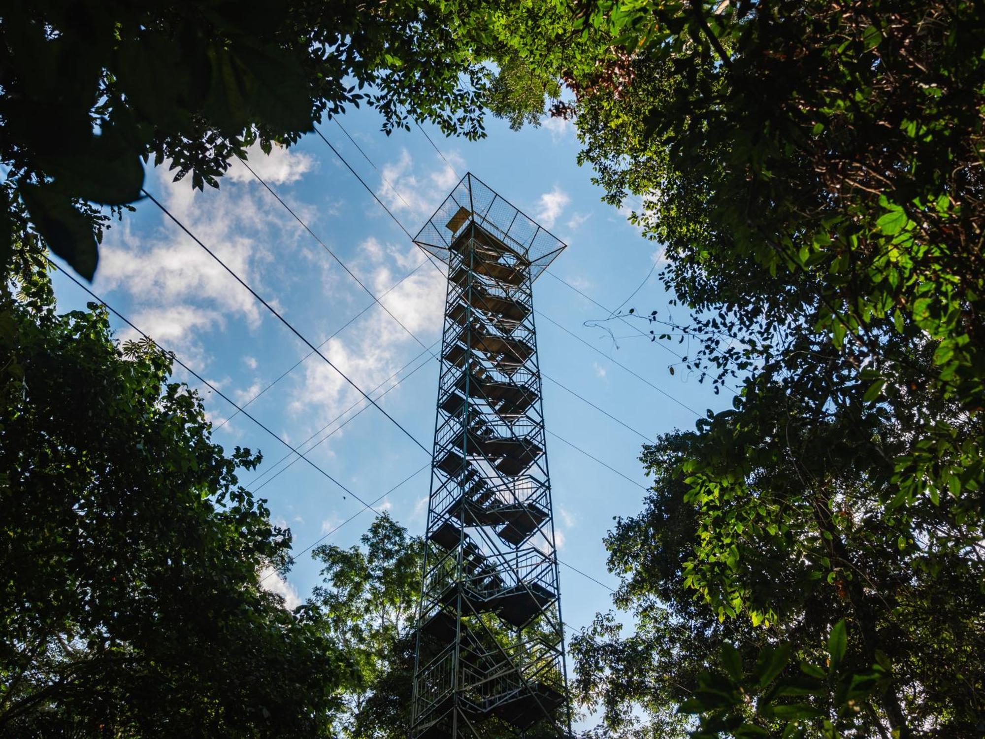 Refugio Amazonas Lodge Tambopata エクステリア 写真