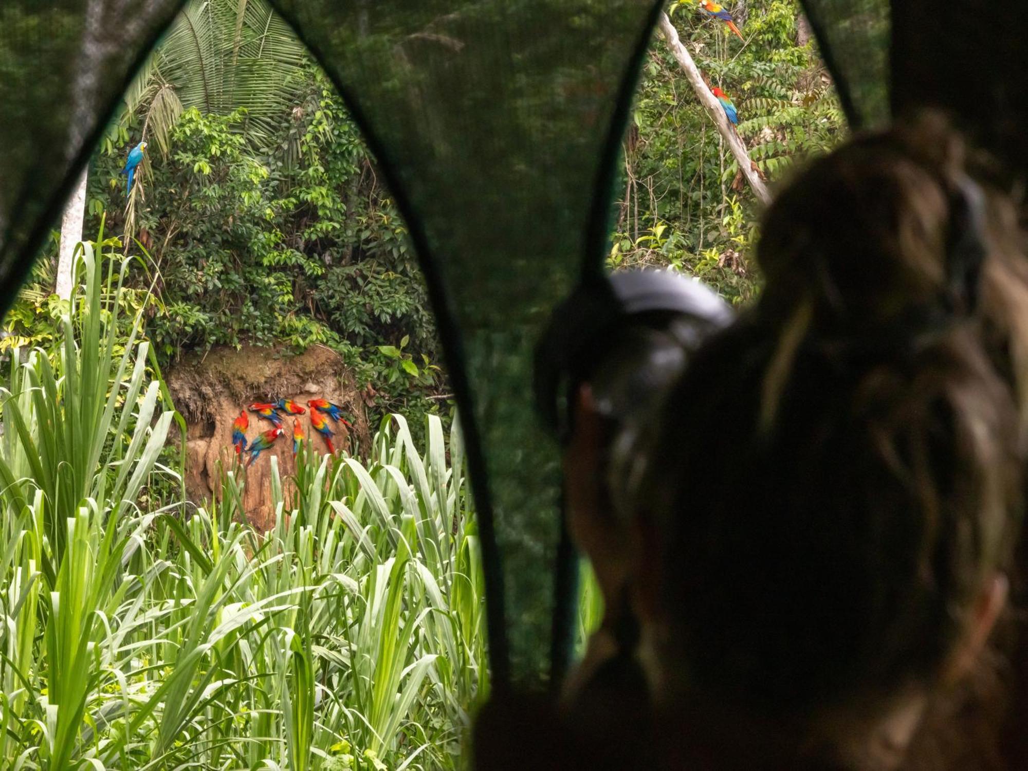 Refugio Amazonas Lodge Tambopata エクステリア 写真