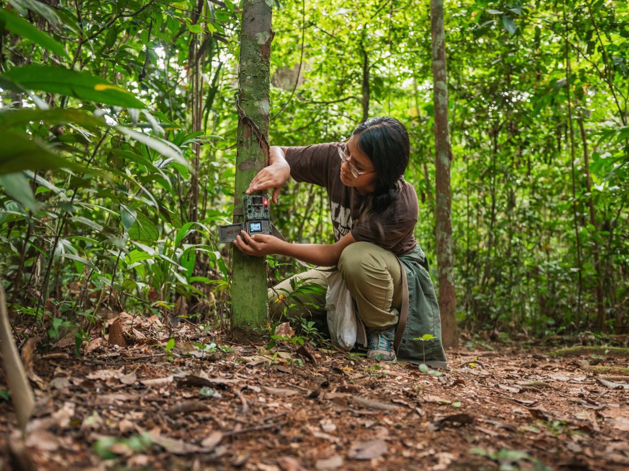 Refugio Amazonas Lodge Tambopata エクステリア 写真