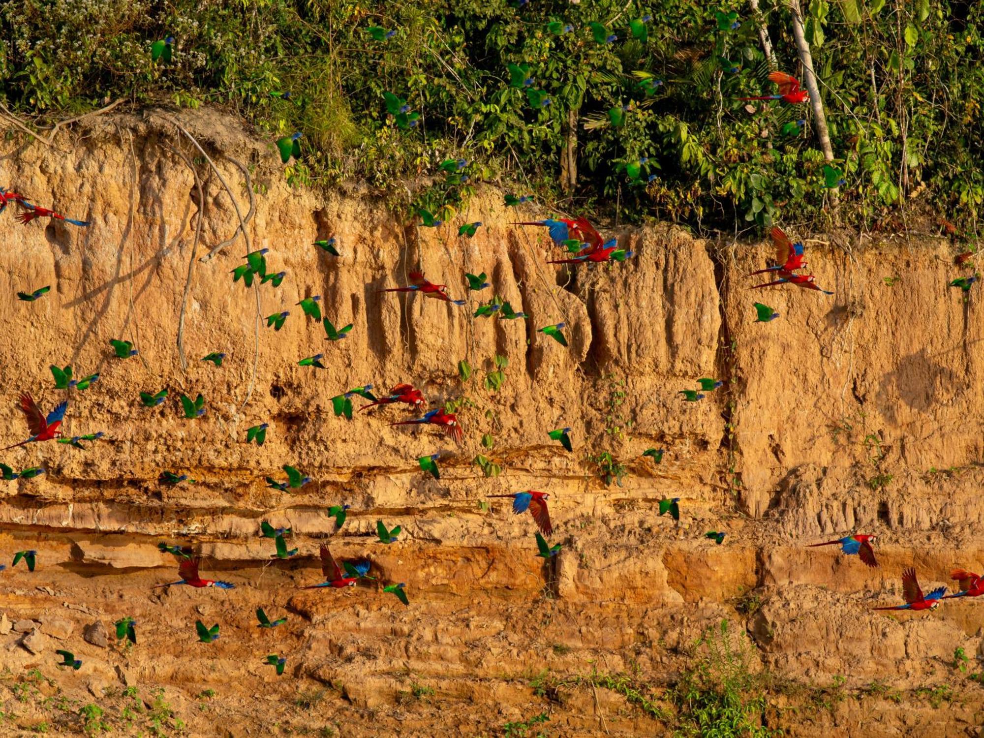 Refugio Amazonas Lodge Tambopata エクステリア 写真